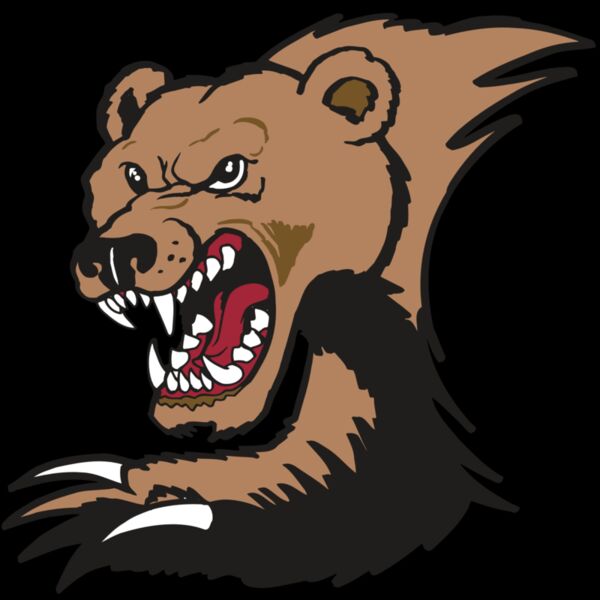 AR BEAR 56 RC Thumbnail