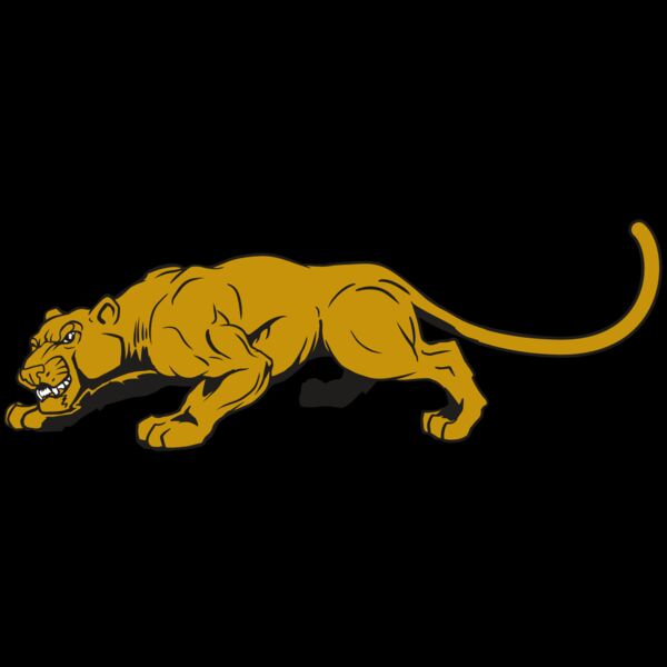 AR10 PAN COU 01 RQC Thumbnail