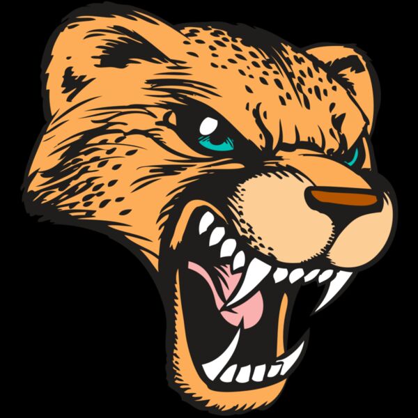 BAW CHEETAH 19 RC Thumbnail