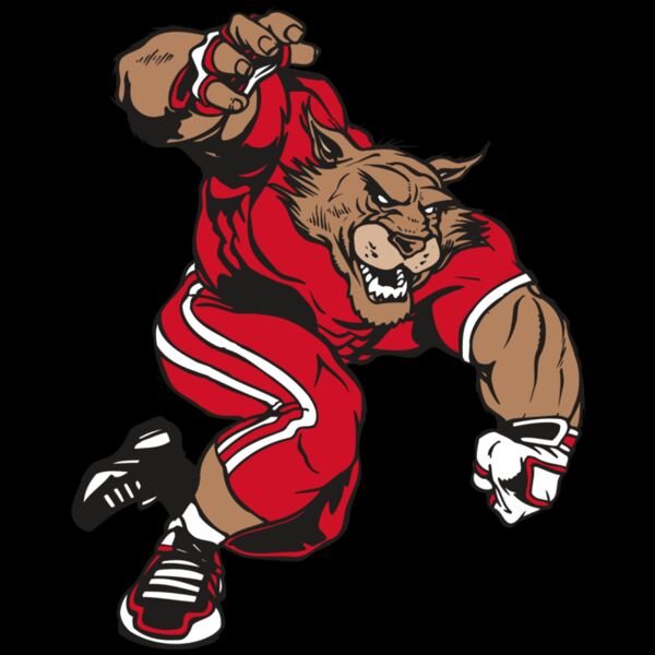 AR WILDCAT 32 RC Thumbnail