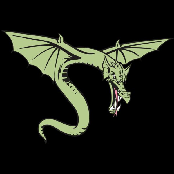 BAW DRAGON 08 RC Thumbnail