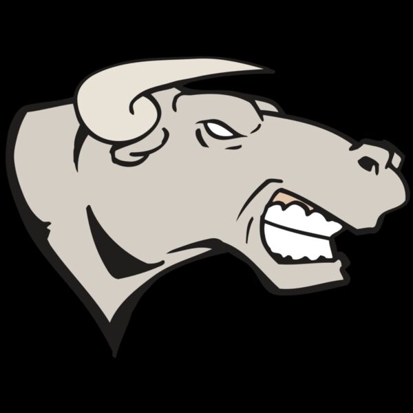 AR BULL 18 RC Thumbnail