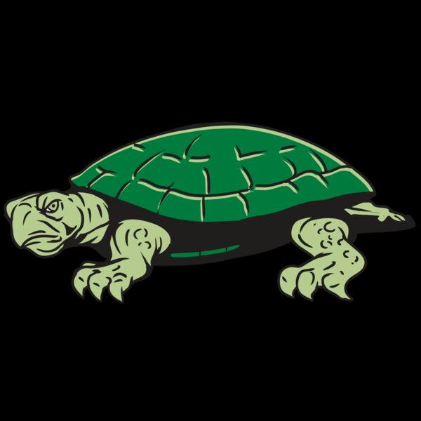 AR32 TURTLE 01 RQC Thumbnail