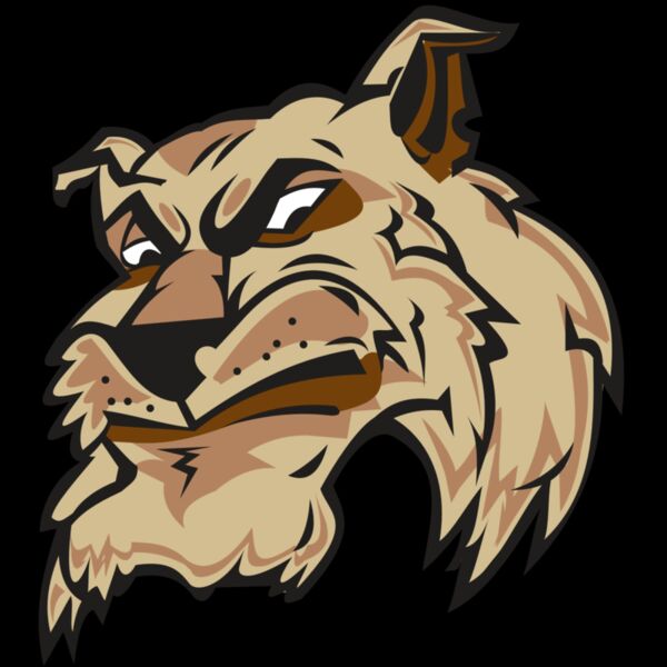 WILDCAT HD0501 RQC Thumbnail